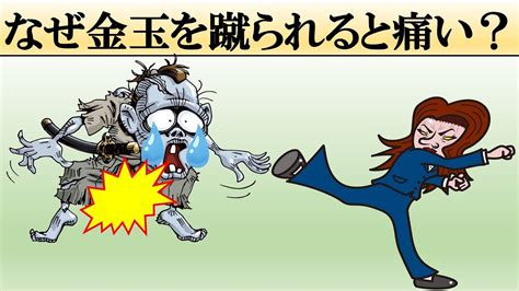 金玉蹴られる|なぜ金玉を蹴られると、お腹が痛くなるのですか？ 